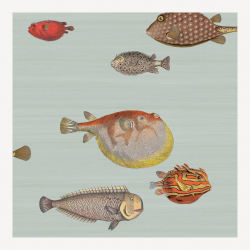 Acquario