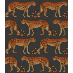Leopard walk