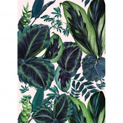 The pink jungle